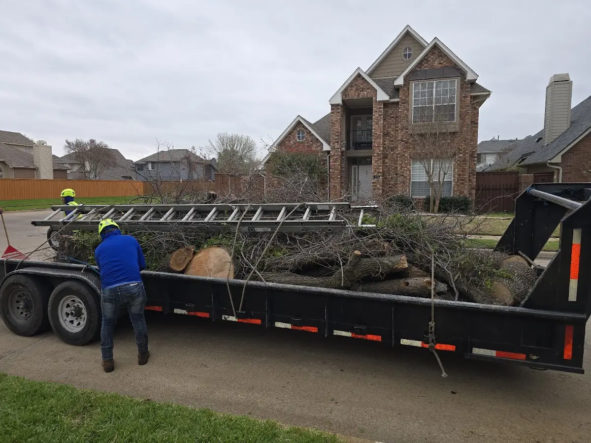 Expert Tree Fertilization with proper safety equipment in La Plata